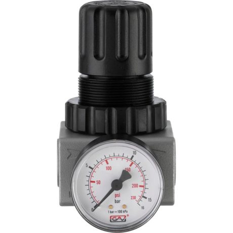 Air Treatment Regulator 0-170 psi/0-12 bar, 1/2 Ports