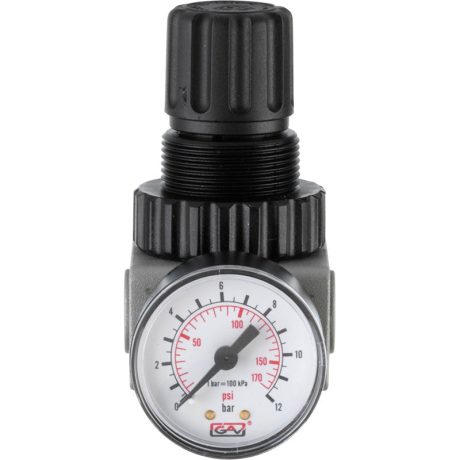 Air Treatment Regulator 0-145 psi/0-10 bar, 1/4 Ports