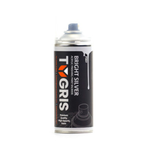 P307 - TYGRIS Bright Silver Paint (RAL9006)