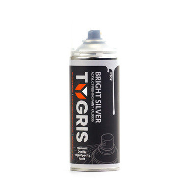 P307 - TYGRIS Bright Silver Paint (RAL9006)