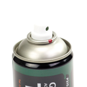 P315 - TYGRIS Gloss Dark Green Paint (RAL6005)